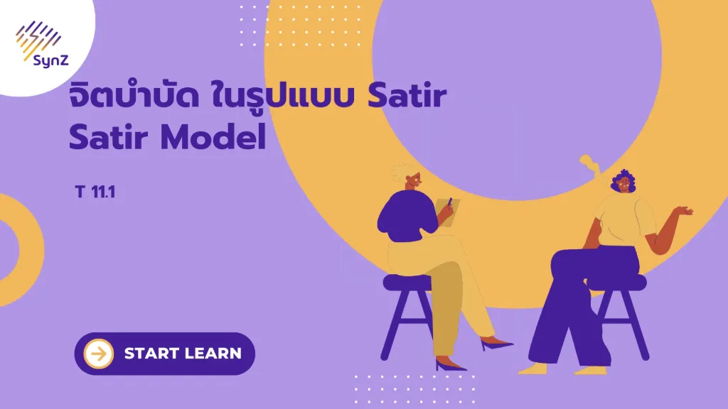 T11.1 Basic Satir Model